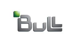 Bull Luxembourg