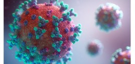 StartupsVsCovid19 : 15 projets innovants retenus pour lutter contre COVID-19