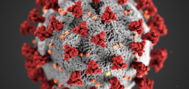 Comment les gestionnaires de parc peuvent gérer la crise du COVID-19