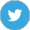 twitter_1.png