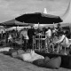 Fleet Garden Party: entre détente, test-drives et matchs de Polo 